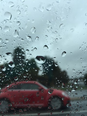 A close look at a rainy day out the car window.