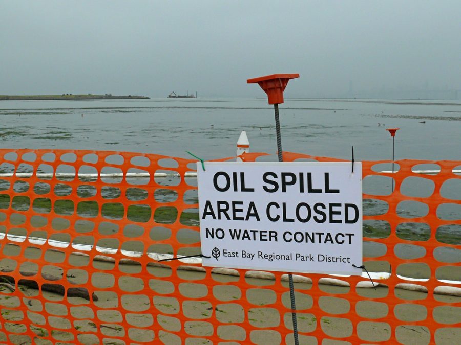 Courtesy of Ingrid Taylor
An oil spill took place at San Francisco as recent as 2007 which prompted recent protests against oil drilling.
