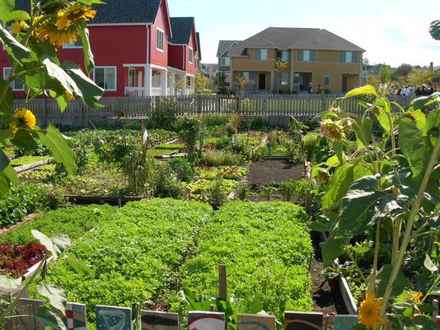 More people have been moving into agrihoods since the early 2000’s.
