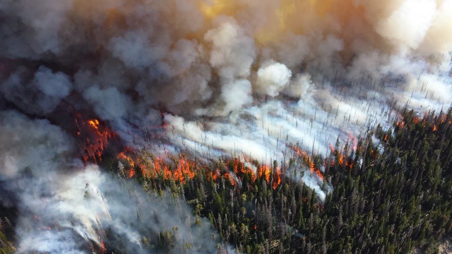 Wild fires burn acres of land across California.     