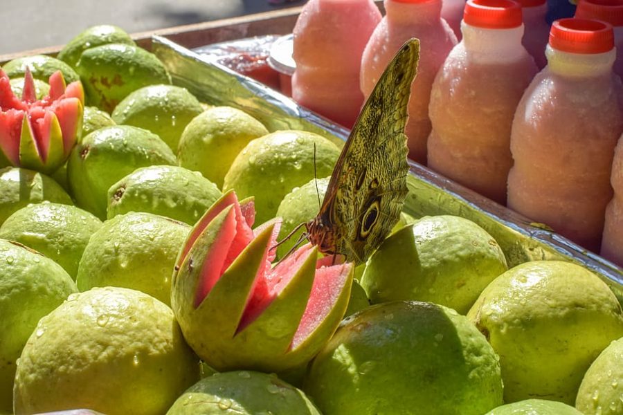 Exotic+Guatemalan+Guava.+