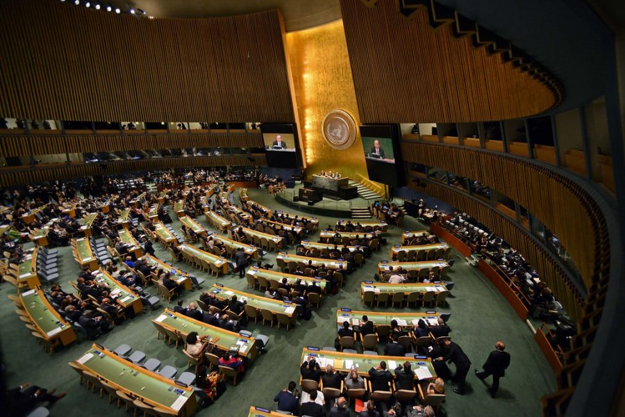 The UN General Assembly, discussing global issues.                       Courtesy of Paul Kagame