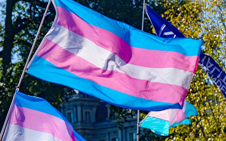Gender affirming healthcare supports many trans members of the LGBTQIA+ community