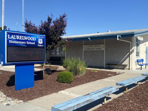 At Laurelwood Elementary on August 18th, an Informed Parents of Silicon Valley protester was cited for allegedly biting a parent