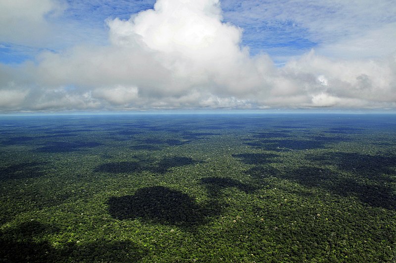 Aerial+view+of+the+Amazon+Rainforest%2C+near+Manaus%2C+the+capital+of+the+Brazilian+state+of+Amazonas