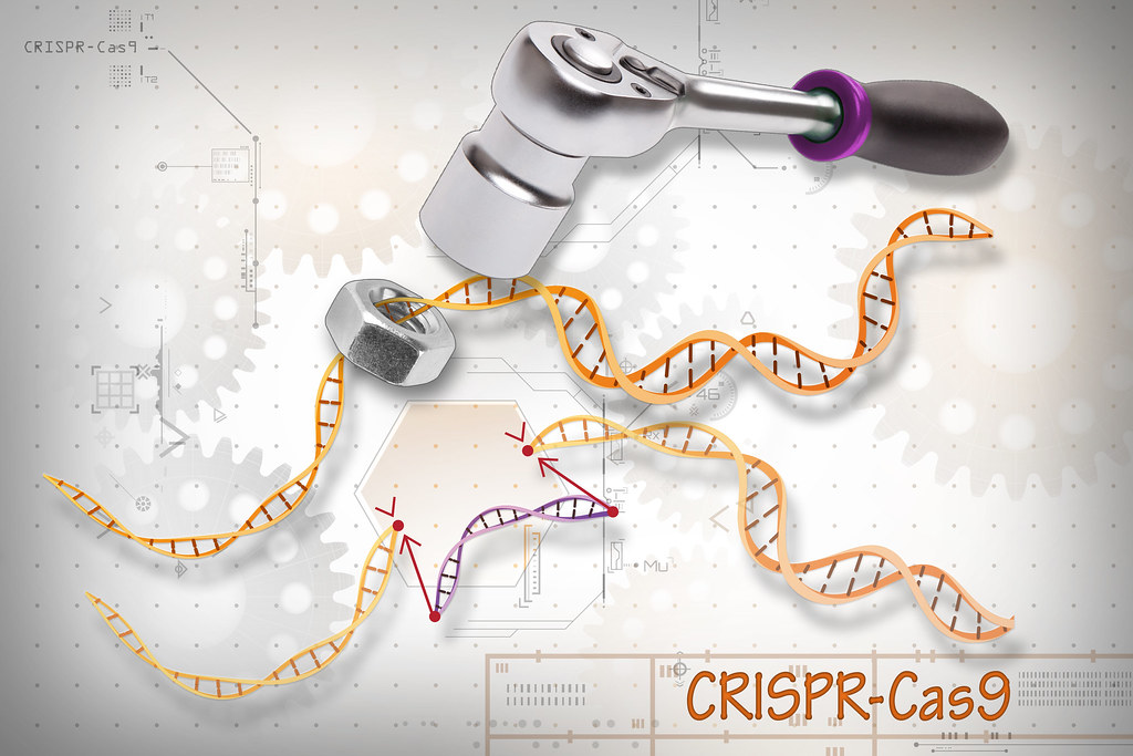 Cholesterol editing utilizes CRISPR-Cas9 to modify the DNA of those susceptible to cholesterol-related diseases.