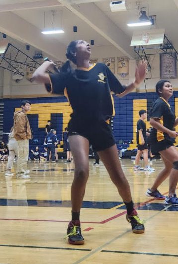 Sankhya Gunda plays Varsity 1 on the Badminton team at Wilcox High School.