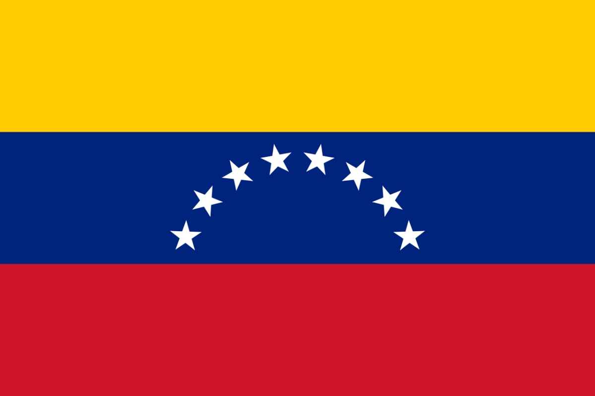 The Venezuelan Flag.