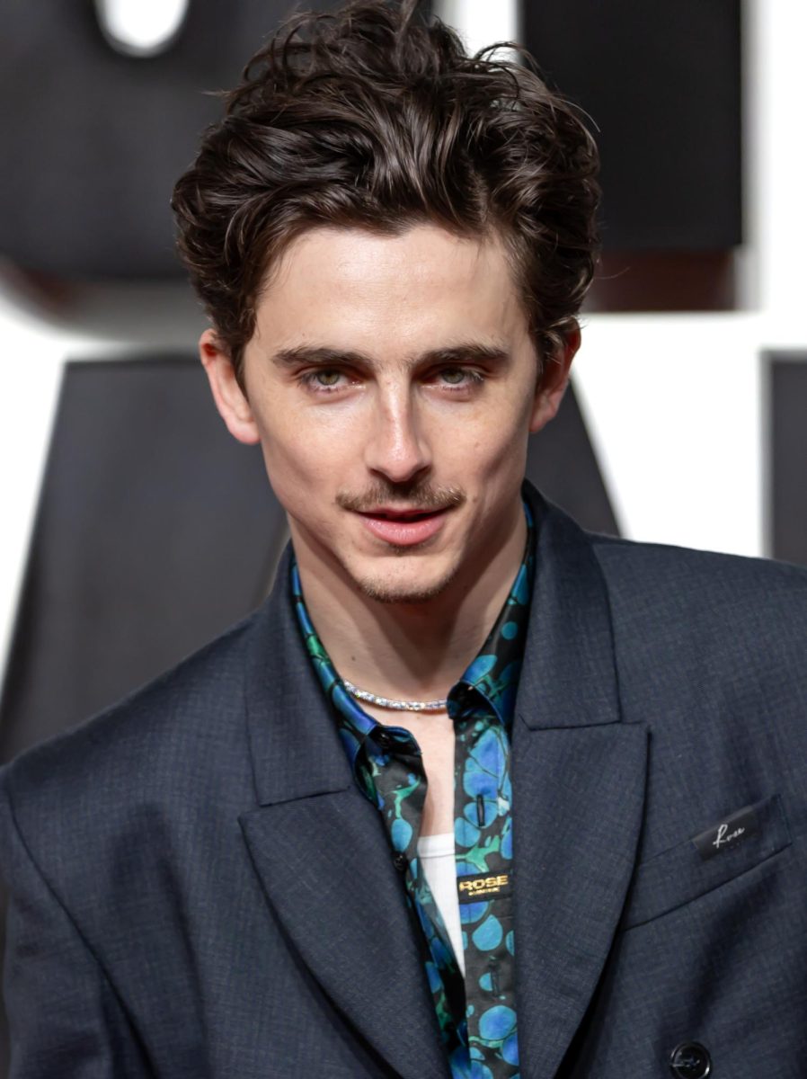 Timothee Chalamet at red carpet