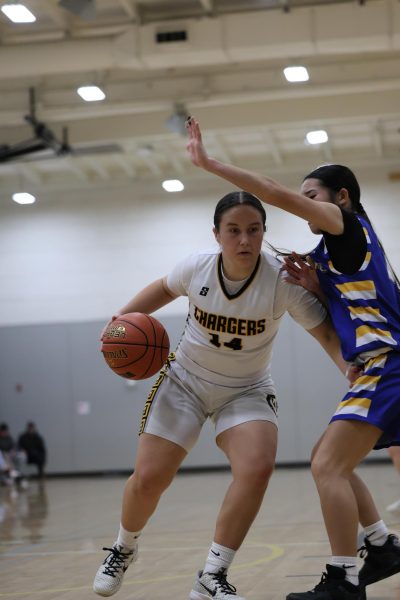 Two students play in a basketball game between Wilcox and Oak Grove.